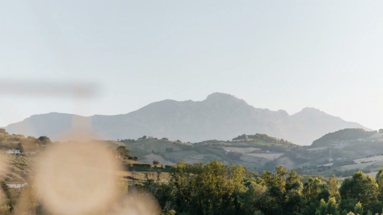Erba alta e alberi in primo piano, con una montagna all'orizzonte